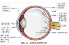 选购使用家用医疗器械装饰性彩色平光隐形眼镜的提示