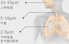 <b>最新款家用雾化器选哪个品牌子比较好?</b>